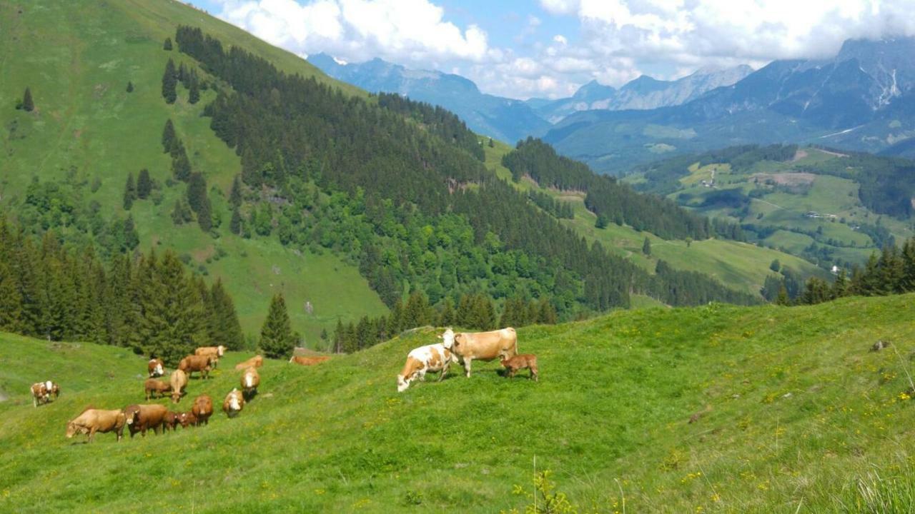 Biobauernhof Jagglhof Apartamento Saalfelden Exterior foto